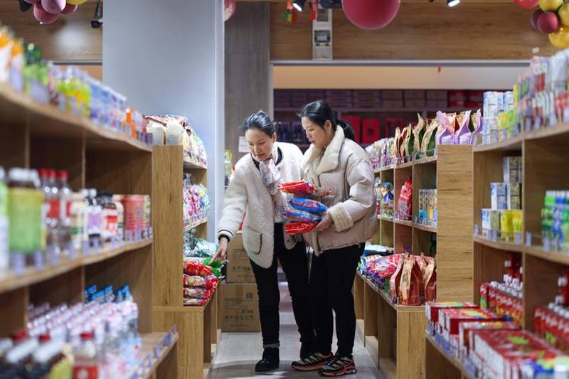 贸易代理市场动态透视：机遇与挑战并存